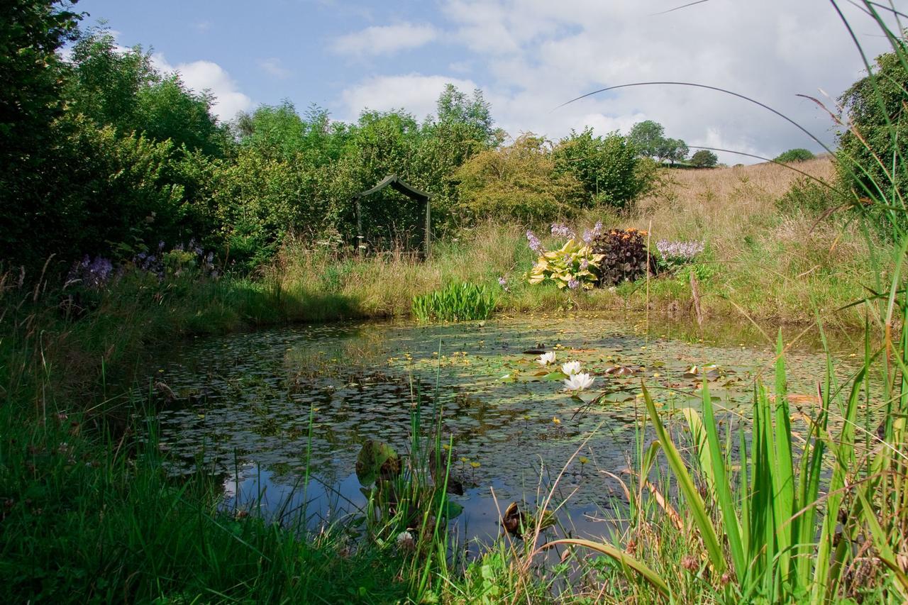 Ghyll Farm B & B Lamplugh Esterno foto